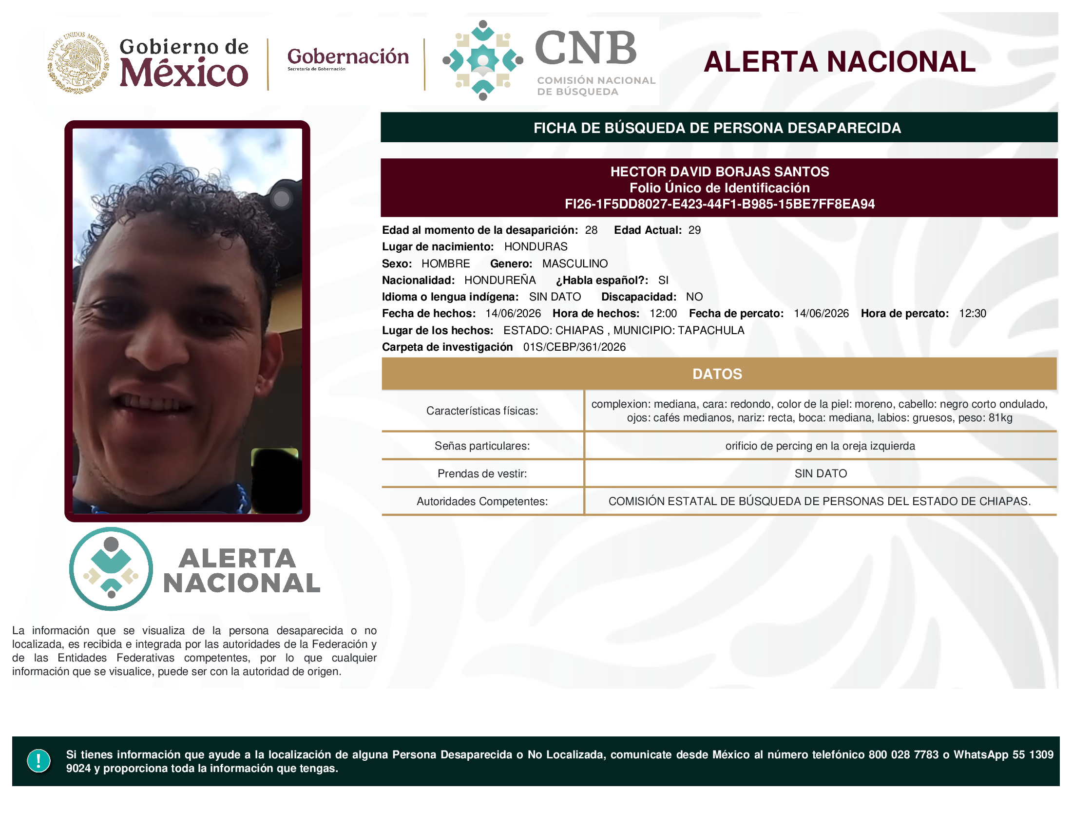 HECTOR DAVID BORJAS SANTOS