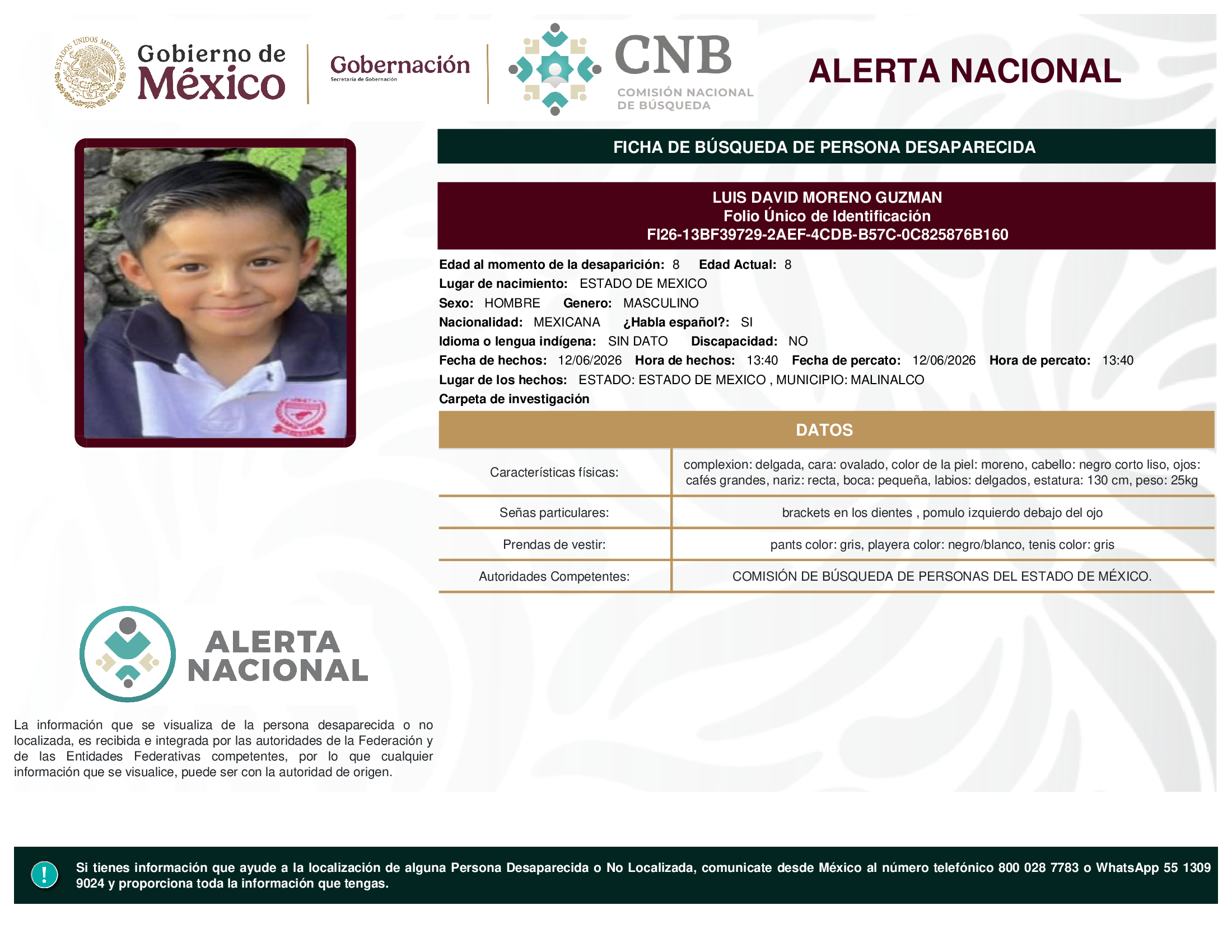LUIS DAVID MORENO GUZMAN