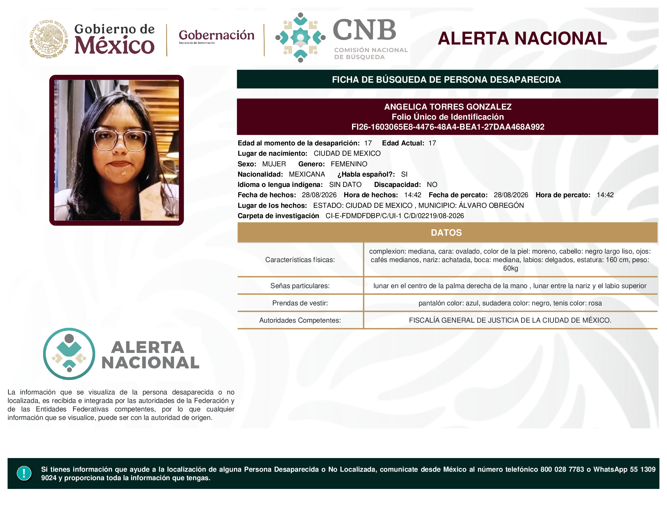ANGELICA TORRES GONZALEZ