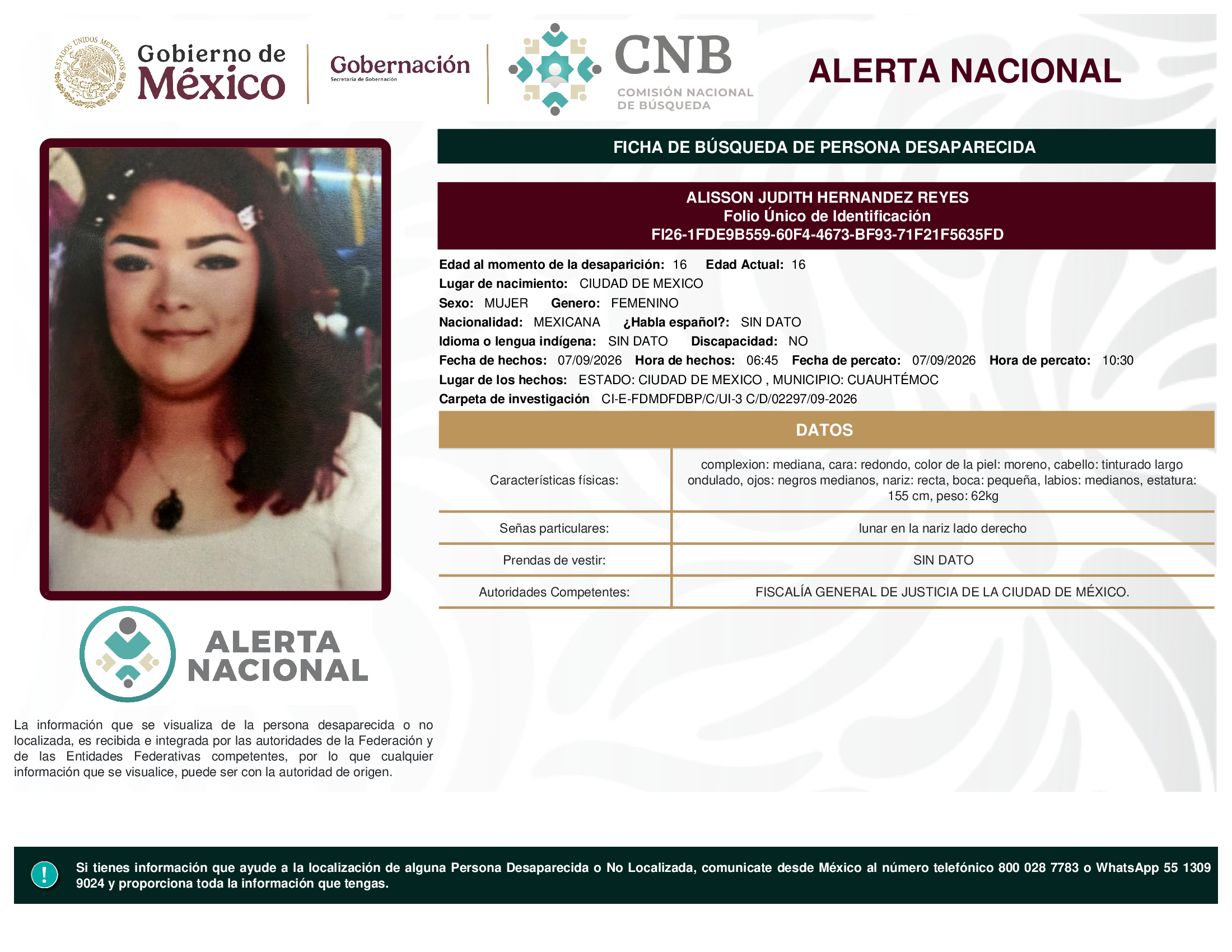 ALISSON JUDITH HERNANDEZ REYES
