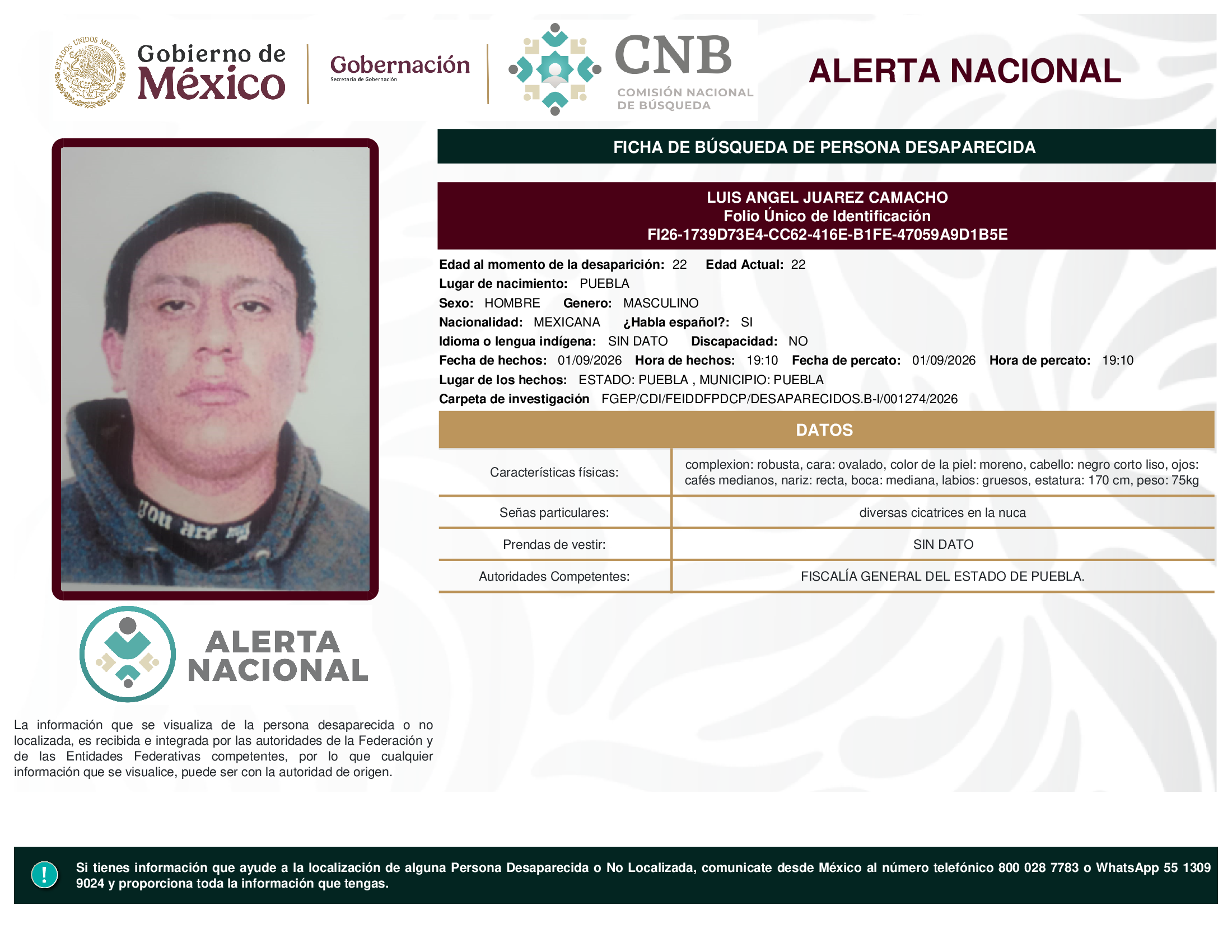 LUIS ANGEL JUAREZ CAMACHO