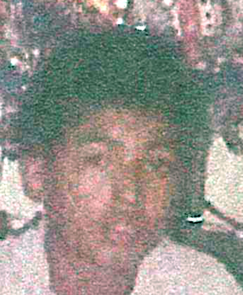 PORFIRIO PÉREZ CRUZ