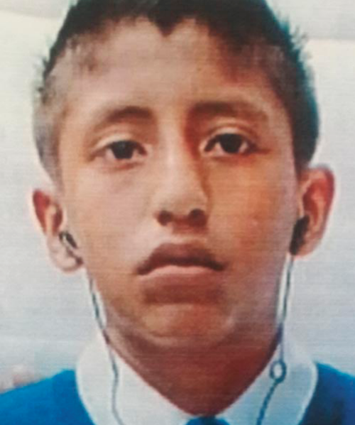 SAUL DAVID GUITIERREZ HERNÁNDEZ